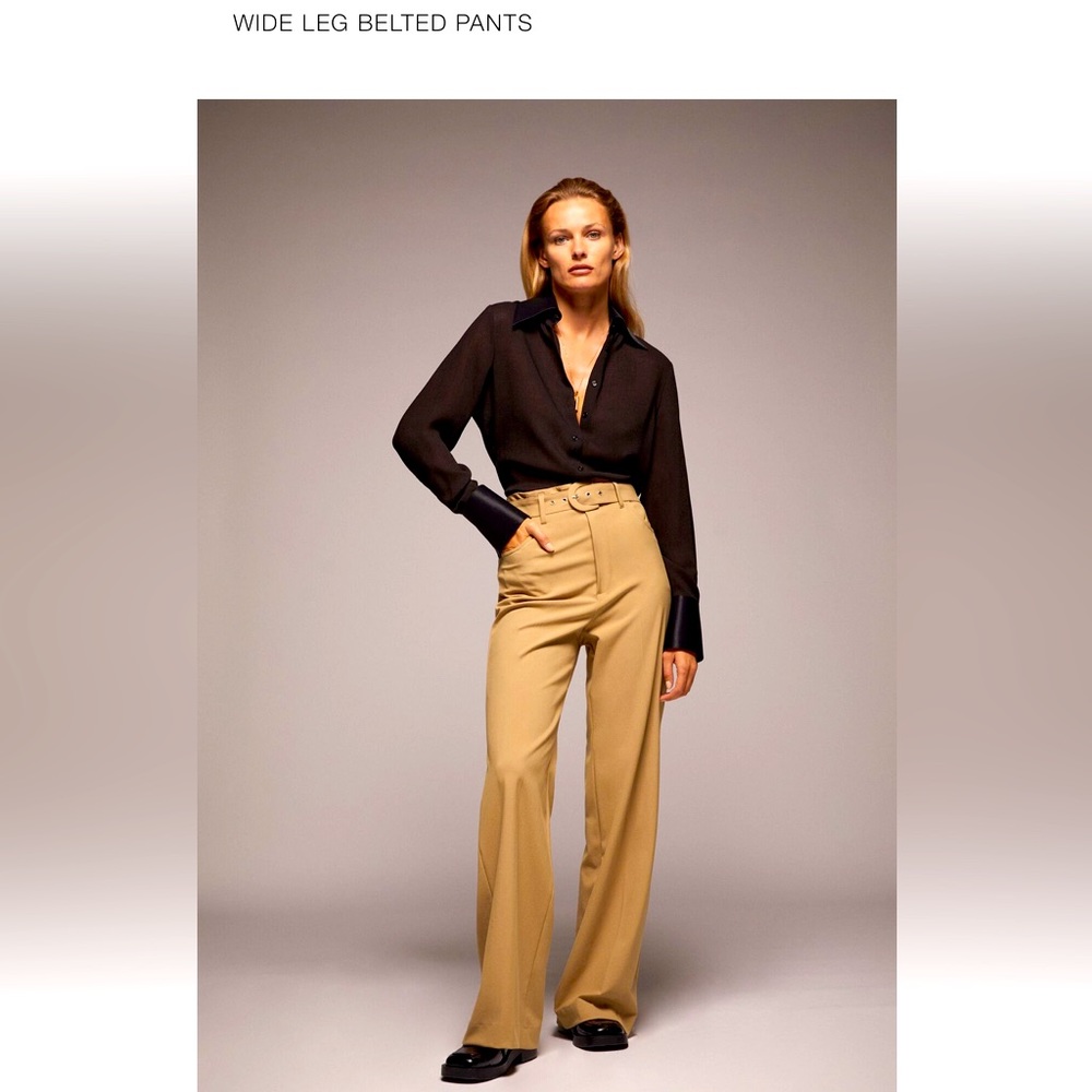 NWT wide leg Zara pants